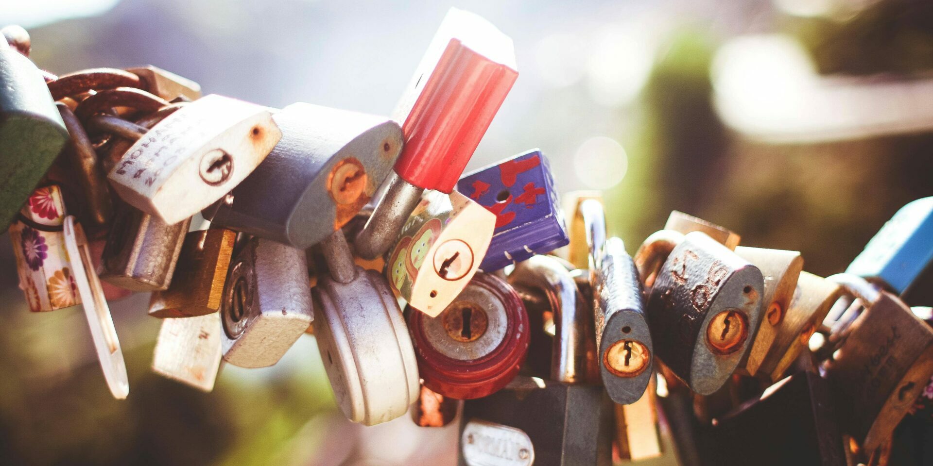 Love Locks adorn a fence