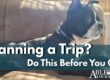 Planning a Trip? Do This First! Able Locksmiths wants your home and pets to be safe and cared for while you're out of town.