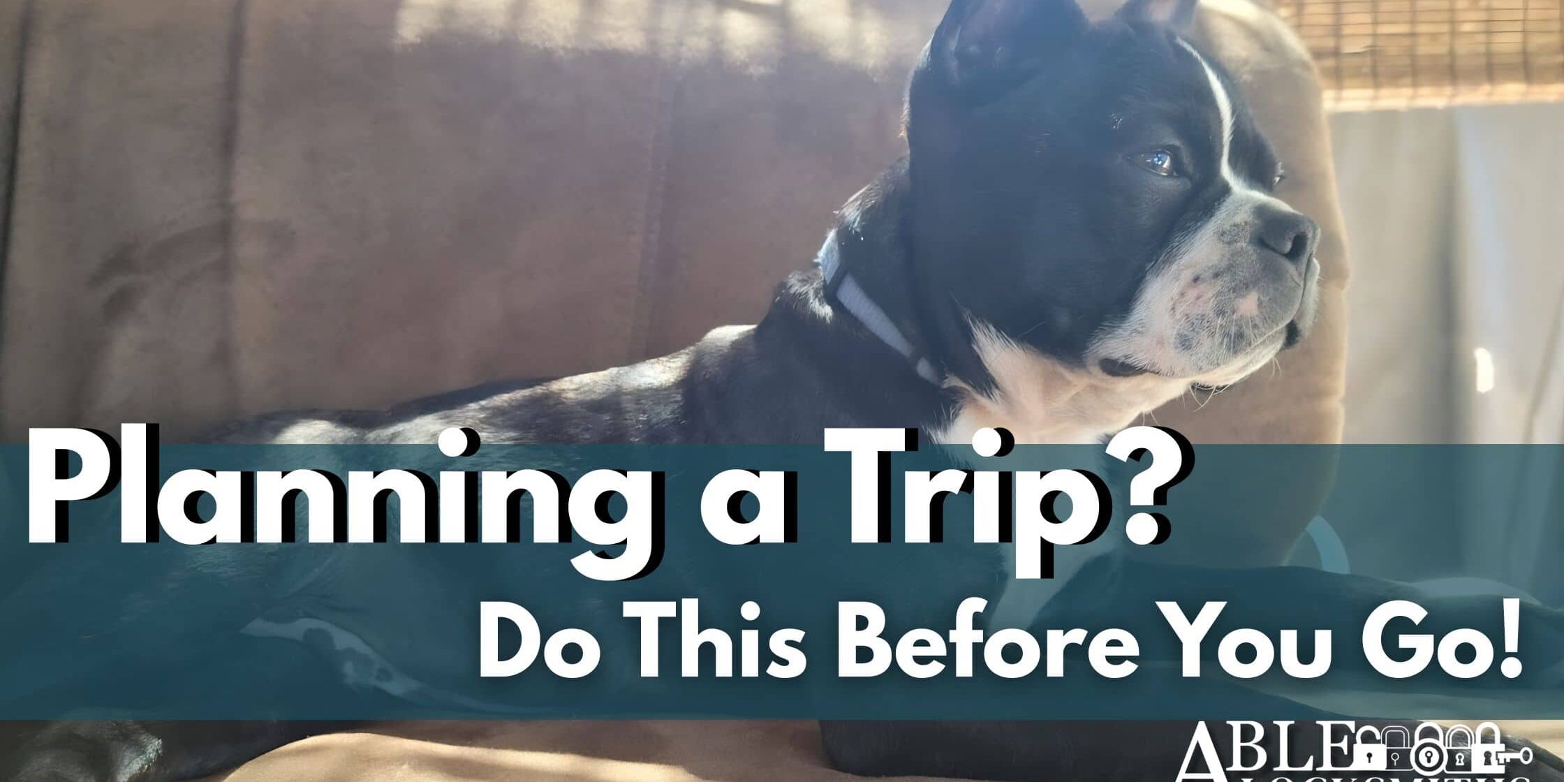 security-tips-vacation-prep-house-sitter-pet-sitter (1) Planning a Trip? Do This First! Able Locksmiths wants your home and pets to be safe and cared for while you're out of town.