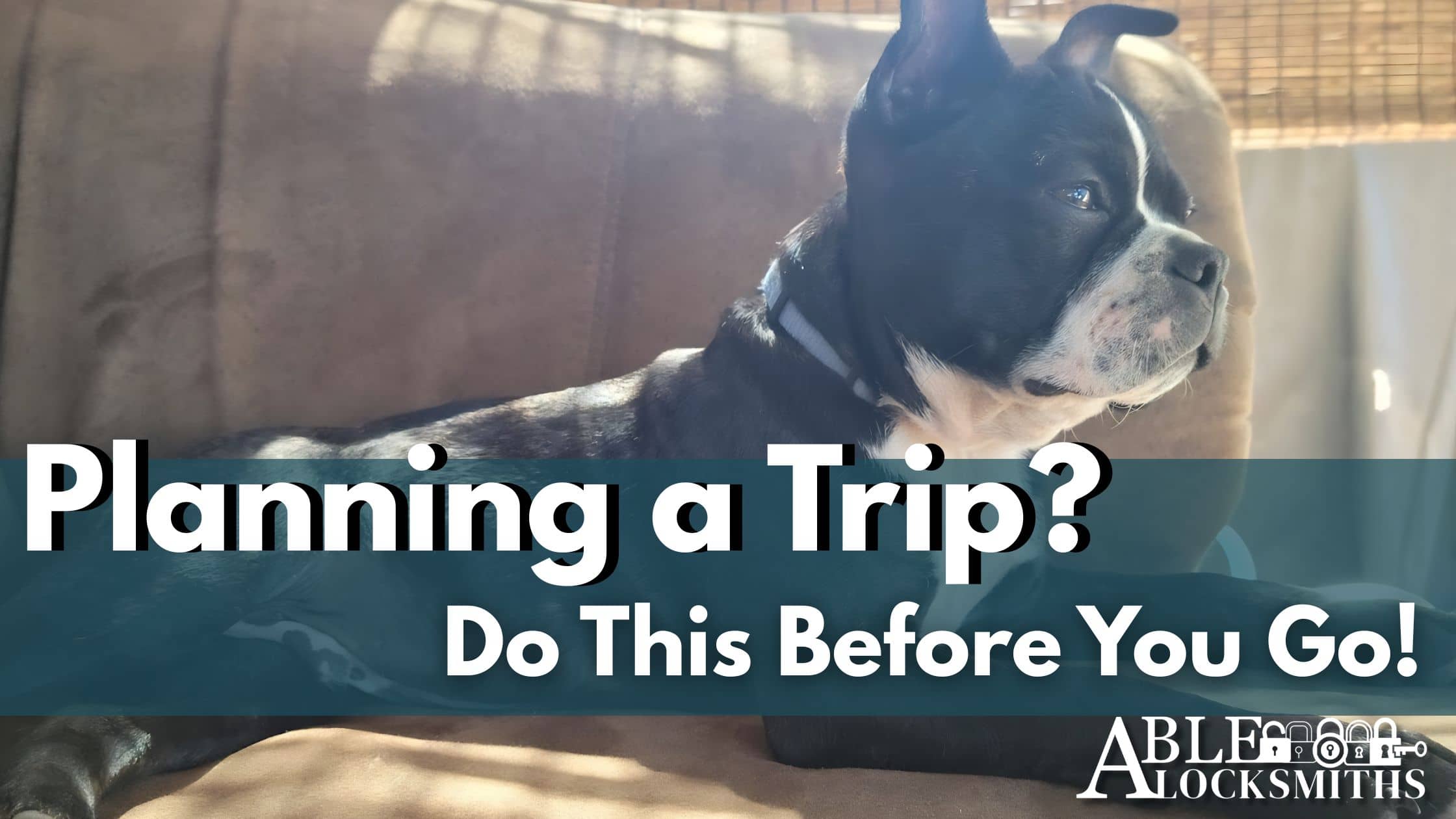 security-tips-vacation-prep-house-sitter-pet-sitter (1) Planning a Trip? Do This First! Able Locksmiths wants your home and pets to be safe and cared for while you're out of town.
